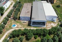 KANTINA E VERËS DEA DELVINË – VIDEO KANTINA E VERËS DEA DELVINË SARANDA WEB