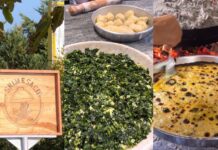 SHIJA E SAÇIT SARANDË SHIJA E SAÇIT SARANDË