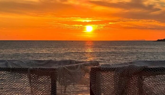 Sunset Restaurant kërkon Ndihmës Kuzhinier/e dhe Pastruse/Sanitare
