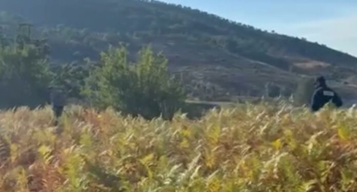 Arrestohet zjarrvënësi, ishte në arrest shtëpie, doli dhe ndezi zjarrin