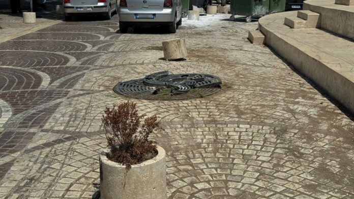 Makina përplaset me 3 pemë te piramida në qendër të Sarandës