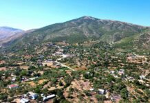 Plagoset me çifte: Më goditi një gjuetar natën në mal. Policia dyshuese Plagoset me çifte: Më goditi një gjuetar natën në mal. Policia dyshuese