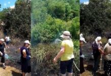 Dogjën barishtet te toka e tyre, por zjarri rrezikoi fshatin, arrestohen 2 persona Dogjën barishtet te toka e tyre, por zjarri rrezikoi fshatin, arrestohen 2 persona