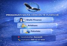 Progonati SHPK kërkon Shefe Finance, Arkëtare dhe Faturiste Progonati SHPK kërkon Shefe Finance, Arkëtare dhe Faturiste