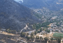 Plani i ri i qeverisë: Rrjet kombëtar fidanishtesh për rritjen e pyjeve dhe hapësirave të gjelbra Plani i ri i qeverisë: Rrjet kombëtar fidanishtesh për rritjen e pyjeve dhe hapësirave të gjelbra Qeveria ka prezantuar një iniciativë të re mjedisore që synon zgjerimin e kapaciteteve të prodhimit të fidanëve dhe krijimin e një rrjeti kombëtar fidanishtesh