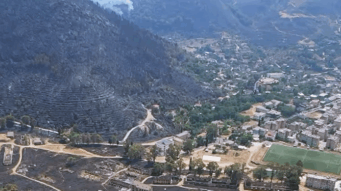 Plani i ri i qeverisë: Rrjet kombëtar fidanishtesh për rritjen e pyjeve dhe hapësirave të gjelbra Qeveria ka prezantuar një iniciativë të re mjedisore që synon zgjerimin e kapaciteteve të prodhimit të fidanëve dhe krijimin e një rrjeti kombëtar fidanishtesh