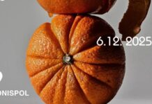 “Festivali i Mandarinës – Agrume dhe Diell” në Konispol më 6 dhjetor 2025 “Festivali i Mandarinës – Agrume dhe Diell” në Konispol më 6 dhjetor 2025: Traditë, Turizëm dhe Shije Mesdhetare