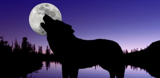 Hëna e Ujkut – Viti i Ri nis me “spektakël qiellor”, cilat shenja të horoskopit do të preken nga ky fenomen