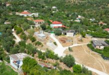 Denoncimi: Fëmijë 3 vjeç me diabet pa insulinë prej 10 ditësh për shkak se “sistemi nuk punon” Denoncimi: Fëmijë 3 vjeç me diabet pa insulinë prej 10 ditësh për shkak të “sistemit që nuk punon” Një banore nga fshati Kalasë, në Delvinë, ka denoncuar në Saranda Web