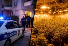 Zbulohet një tjetër “shtëpi bari” në lagjen nr. 2 në Sarandë – Operacioni policor në vijim Zbulohet një tjetër “shtëpi bari” në lagjen nr. 2 në Sarandë – Operacioni policor në vijim Një tjetër rast i kultivimit të bimëve narkotike në ambiente të mbyllura është zbuluar këtë të martë në Sarandë. Burime paraprake bëjnë me dije se Policia ka ndërhyrë në lagjen nr. 2 të qytetit, në kryqëzimin e rrugëve “Adem Sheme” dhe “Pandeli Boçari”, ku dyshohet se funksiononte një tjetër e ashtuquajtur “shtëpi bari”.