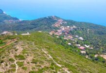 Banorët në Piqeras 4 orë pa energji, OSHEE nuk u përgjigjet në telefon Banorët në Piqeras 4 orë pa energji, OSHEE nuk u përgjigjet në telefon. Banorët e fshatit Piqeras kanë denoncuar sot një ndërprerje të zgjatur të energjisë elektrike, e cila sipas tyre ka zgjatur mbi 4 orë.