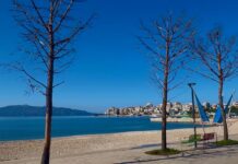 Oltion Çaçi premtoi zëvendësimin e pishave të thara deri në Shkurt – VIDEO Gjatë mbledhjes së Këshillit Bashkiak Sarandë në Dhjetor 2025 këshilltari Përparim Ahmeti ngriti shqetësimi për tharjen e pishave në Shëtitoren e qytetit. Kryetari i Bashkisë, Oltion Çaçi, deklaroi se bashkia kishte kontaktuar me firmën që kishte kryer punimet dhe se pishat e dëmtuara do të zëvendësoheshin brenda muajit Shkurt, periudhë që konsiderohet edhe si koha e përshtatshme për mbjelljen e pemëve.