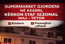 Sulmohet nga qentë, një grua transportohet me urgjencë në spitalin e Sarandës